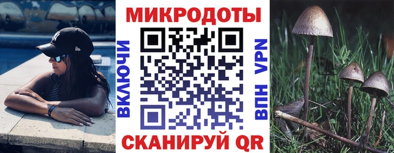купить наркоту  KRAKEN ссылки  Галлюциногенные грибы Magic Shrooms  Гаджиево 